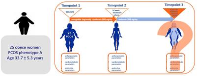 The maintenance of long-term weight loss after semaglutide withdrawal in obese women with PCOS treated with metformin: a 2-year observational study